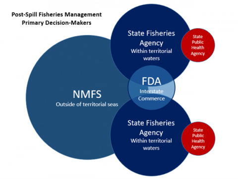 Post-Spill Fisheries Management Primary Decision-Makers